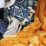 Przy Szlaku Jeleni Alloggio in famiglia Ustroń