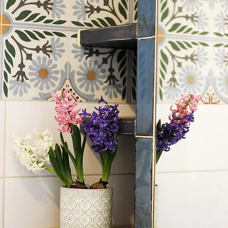 Séjour chez l'habitant Przy Szlaku Jeleni