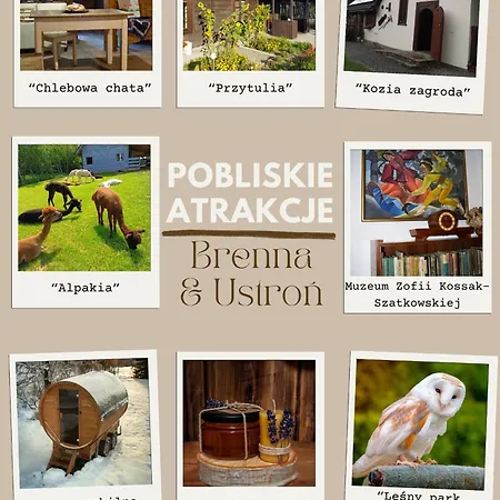 Przy Szlaku Jeleni * Ustroń