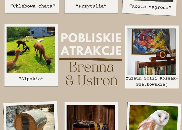 Przy Szlaku Jeleni * אוסטראון